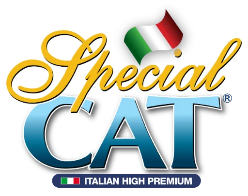 Special Cat logo